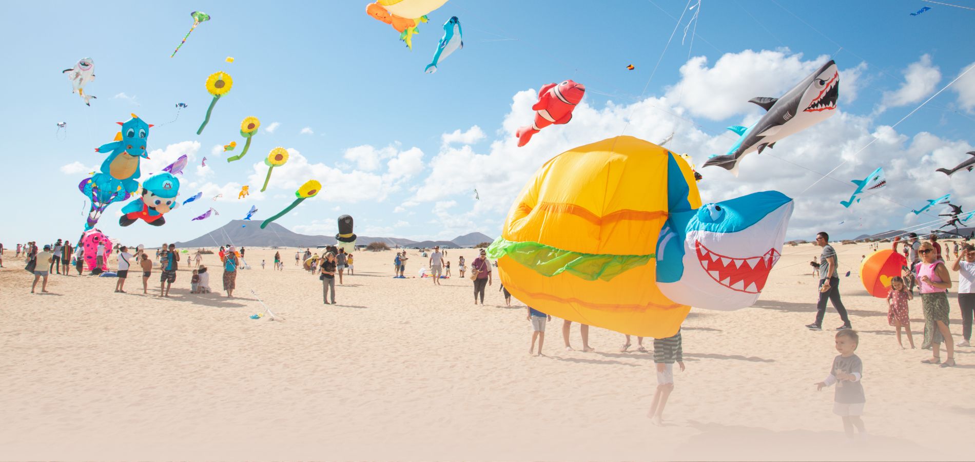 Propuestas Slider - 10